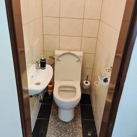 Zizkov - Close To Center בית הארחה 3*
